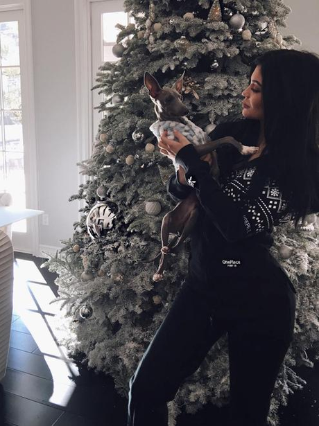 Kylie Jenner Christmas Tree Instagram