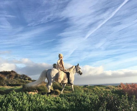 Lady Gaga Pony Instagram