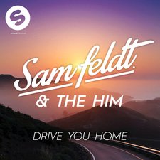 Drive You Home artwork