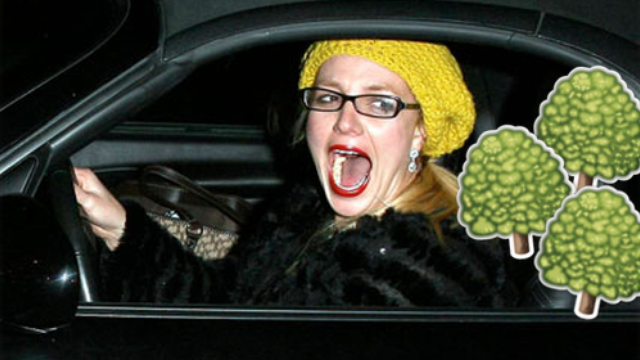 Britney Spears Screaming At Trees