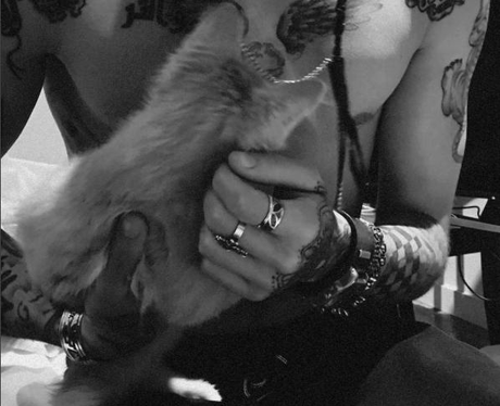 Topless Zayn Malik holding a cat