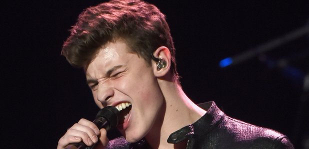 Shawn Mendes At Elton John Gig