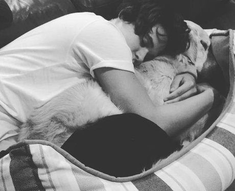 The Vamps Brad Simpson Dog Instagram