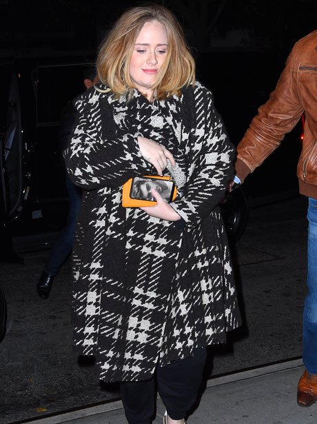 Adele Zayn Screen Saver