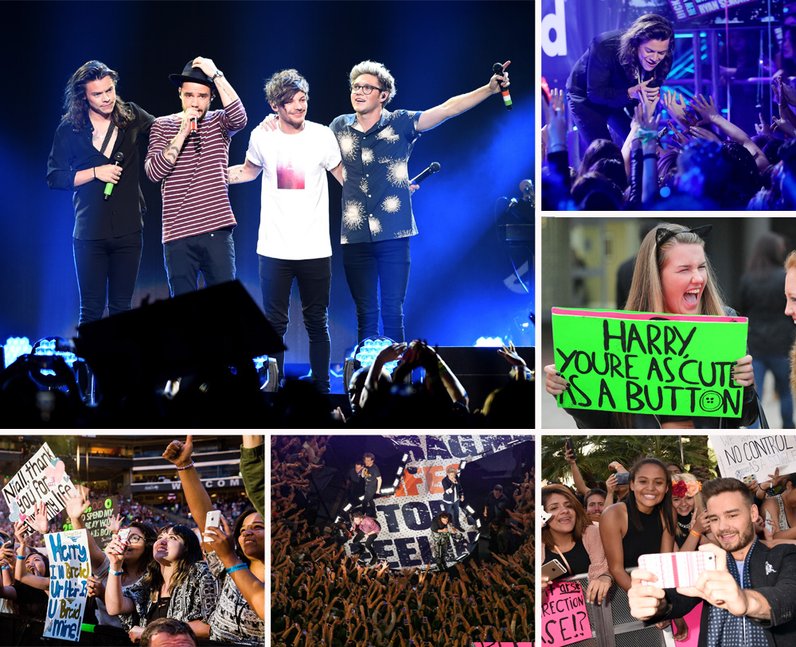 One Direction Fan Gallery