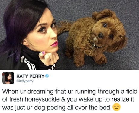 Best Tweets - 5th February