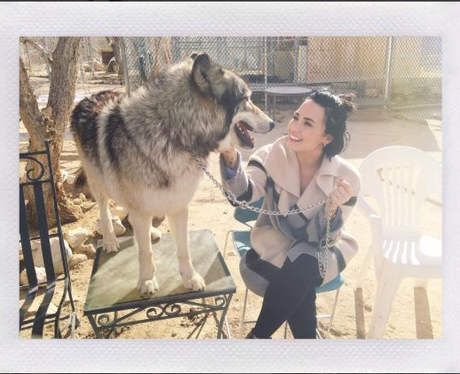 Demi Lovato Fan Gallery