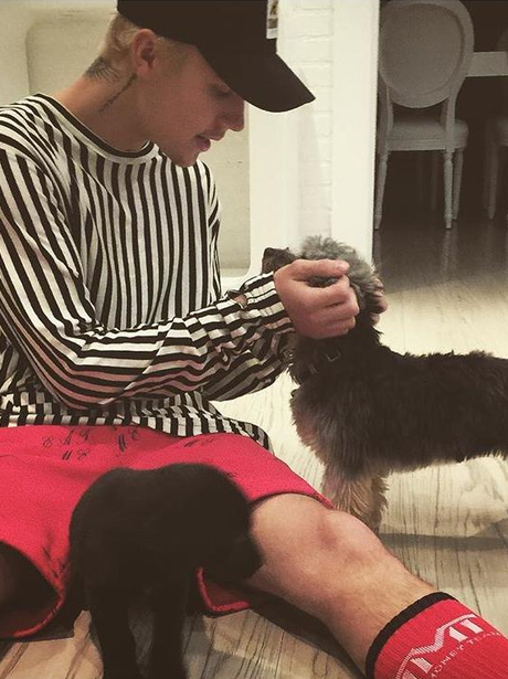 Justin Bieber cuddles dogs in Instagram post
