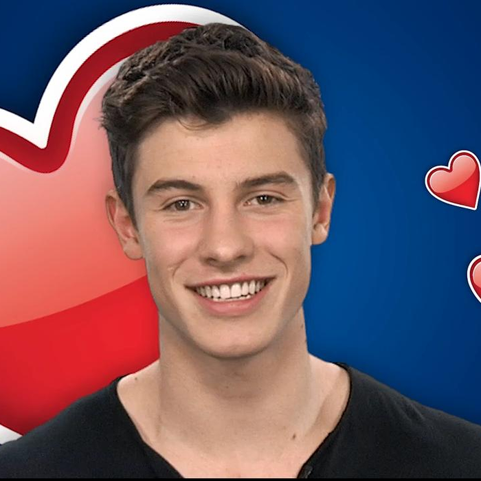 Shawn Mendes Dating Tips