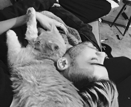 Zayn Malik shares Valentine's Day with furry friend. ALL. THE FEELS.