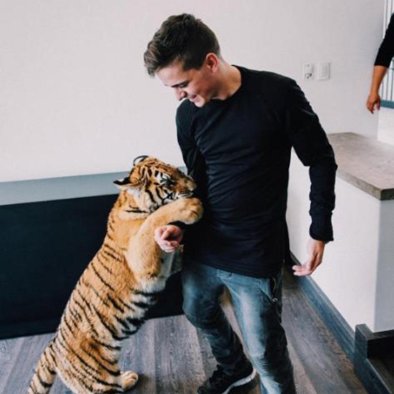 Martin Garrix Tiger Instagram