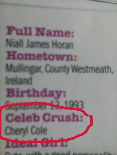 Niall Fancies Cheryl