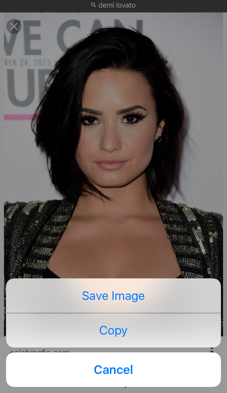 demi lovato save image