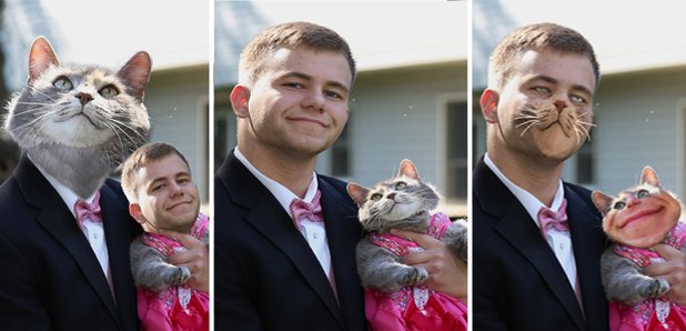 guy takes his cat to prom