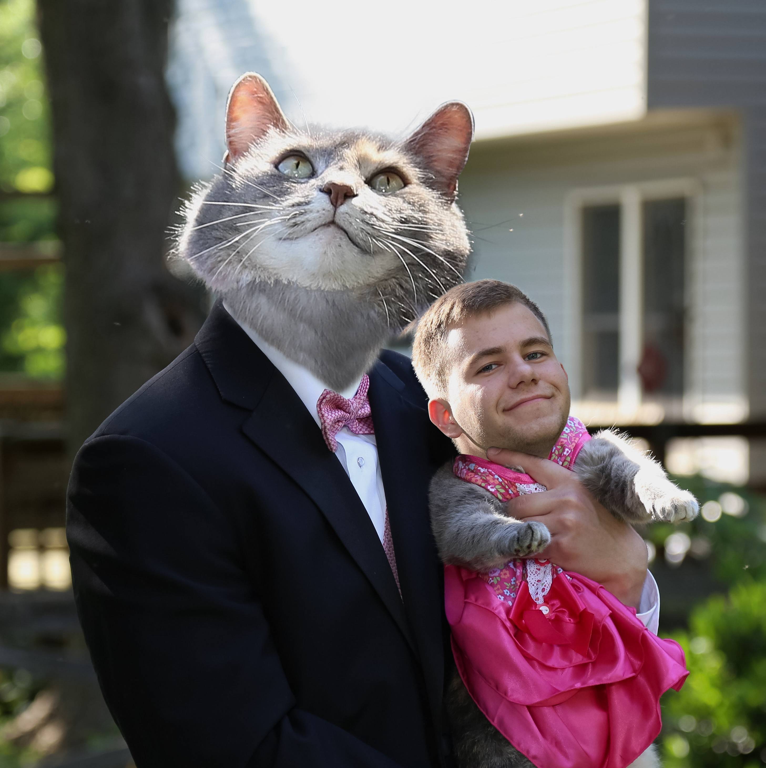 Guy takes his cat to prom