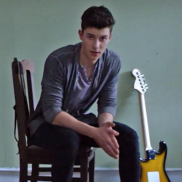 NEW SONG ALERT! Watch Shawn Mendes’ SUPER Hot Video Teaser For New ...