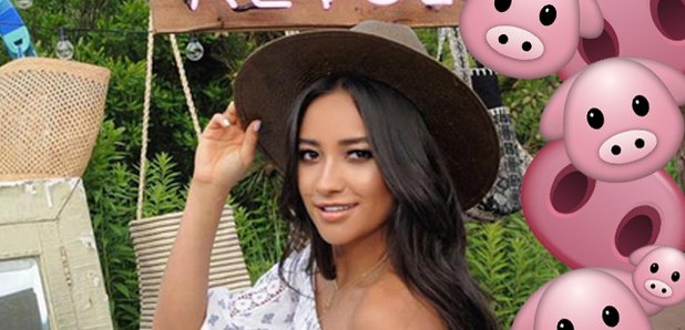 Shay Mitchell Baby Pig
