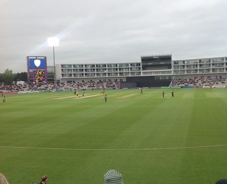 T20 Cricket