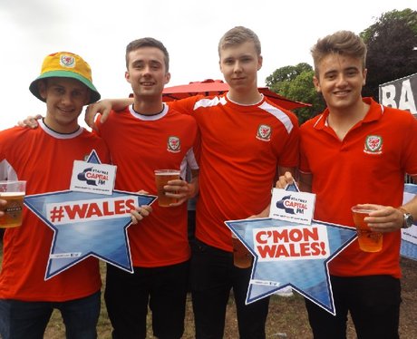Cardiff Fanzone - Wales v Slovakia