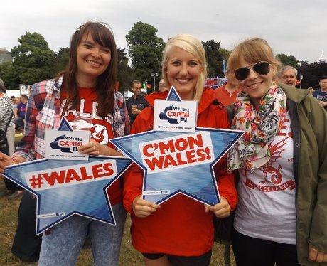 Cardiff Fanzone - Wales v Slovakia