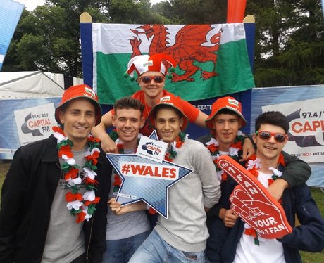 Cardiff Fanzone: Wales v England