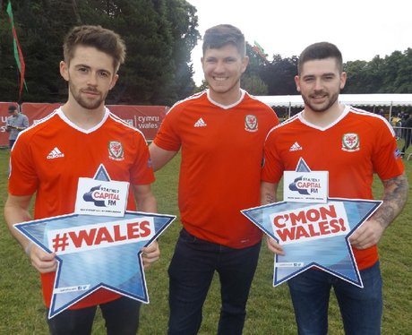 Cardiff Fanzone: Wales v England