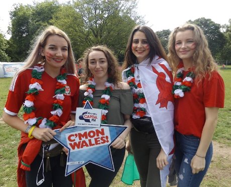 Cardiff Fanzone: Wales V Northern Ireland