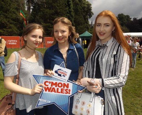 Cardiff Fanzone: Wales V Northern Ireland