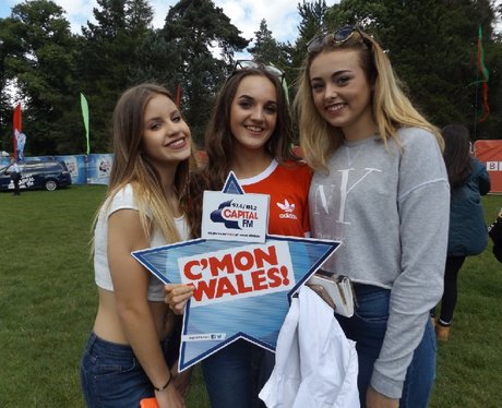 Cardiff Fanzone: Wales V Northern Ireland