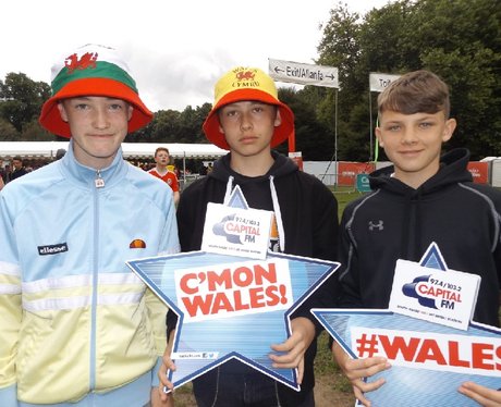 Cardiff Fanzone: Wales V Northern Ireland