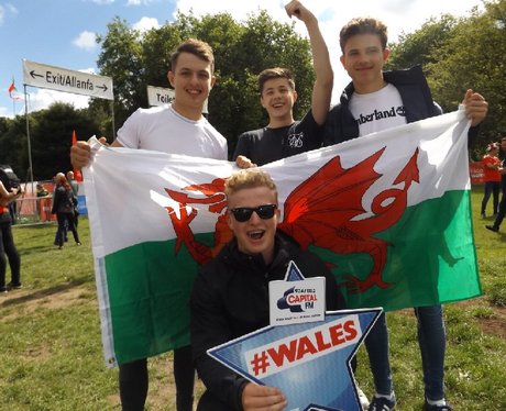 Cardiff Fanzone: Wales V Northern Ireland