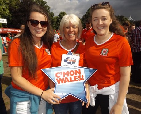 Cardiff Fanzone: Wales V Northern Ireland