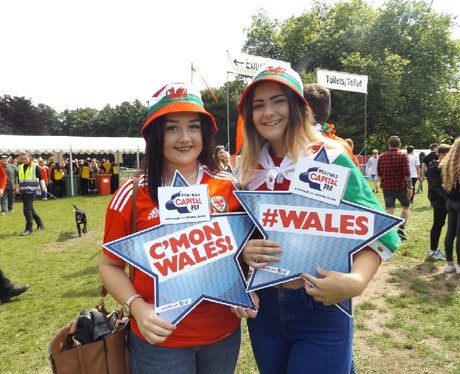 Cardiff Fanzone: Wales V Northern Ireland