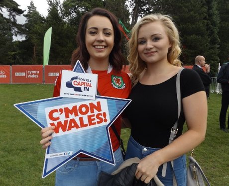 Cardiff Fanzone: Wales V Northern Ireland