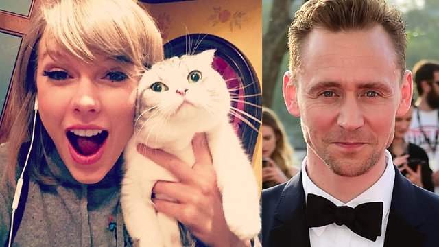 Taylor Swift Tom Hiddleston cat