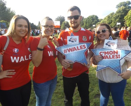 Cardiff Fanzone: Wales v Belgium