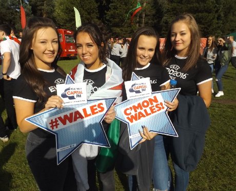 Cardiff Fanzone: Wales v Belgium
