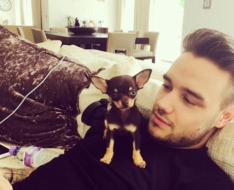 Cheryl and Liam Payne get a new addition to their