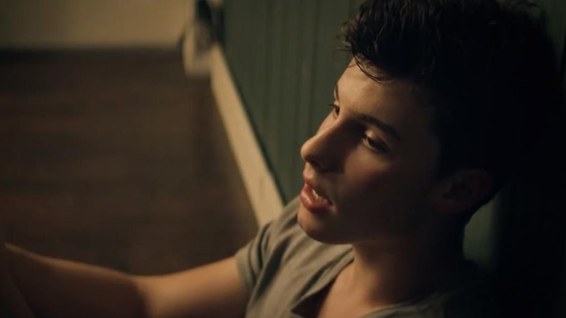 Shawn Mendes Treat You Better Video