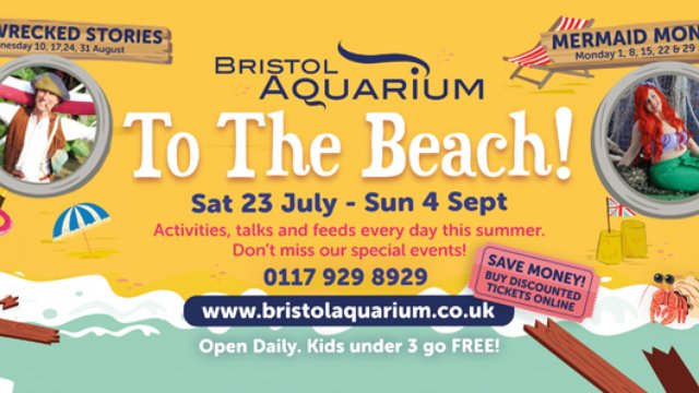 bristol aquarium article beach v2