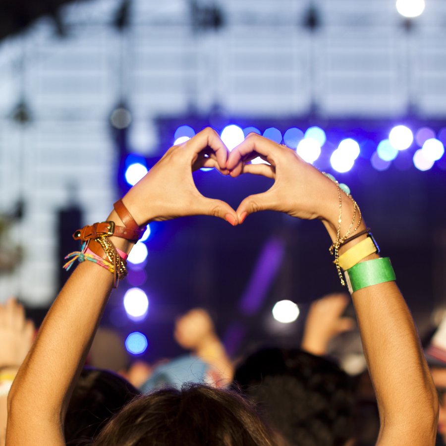 Concert Crowd