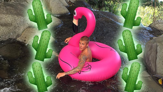 Justin Bieber Cactus