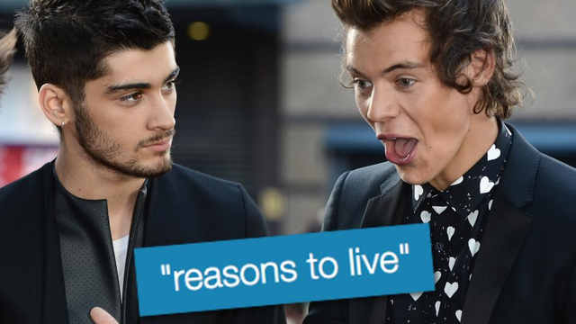 ZAYN and Harry Styles "Reasons To Live"