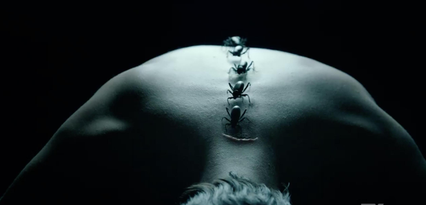 American Horror Story Trailer