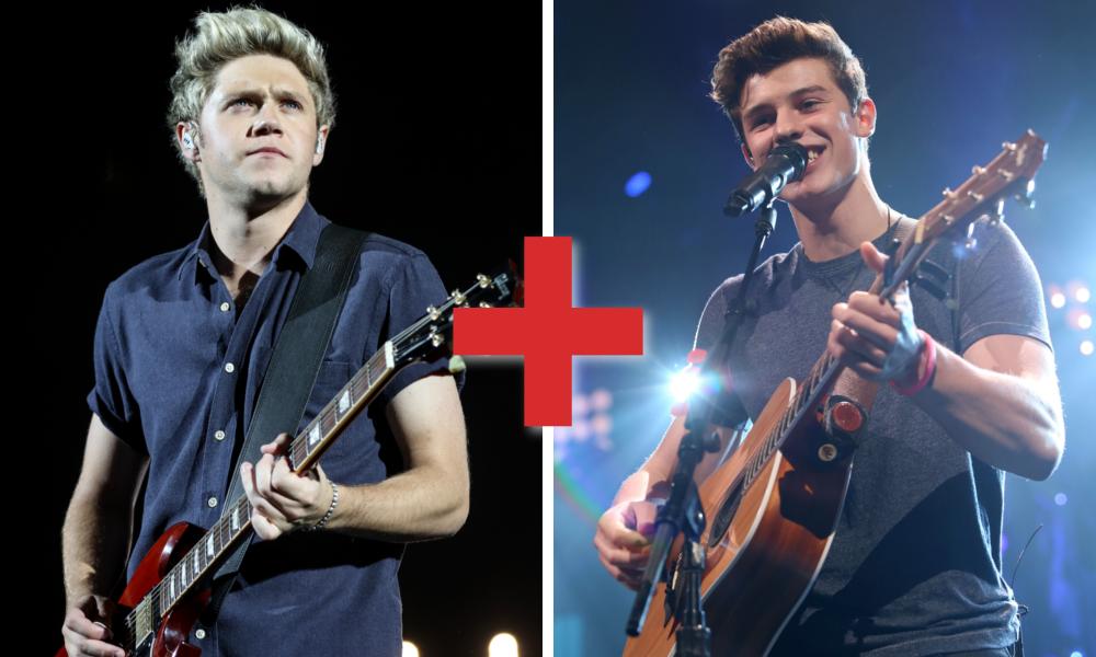 Niall Horan and Shawn Mendes