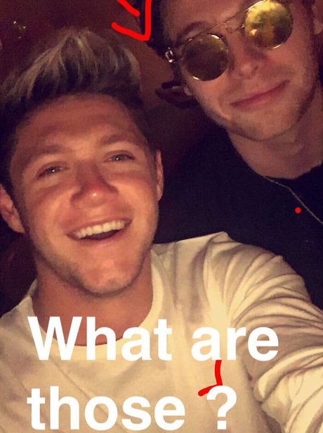 Niall Horan hangs out with Luke Hemmings