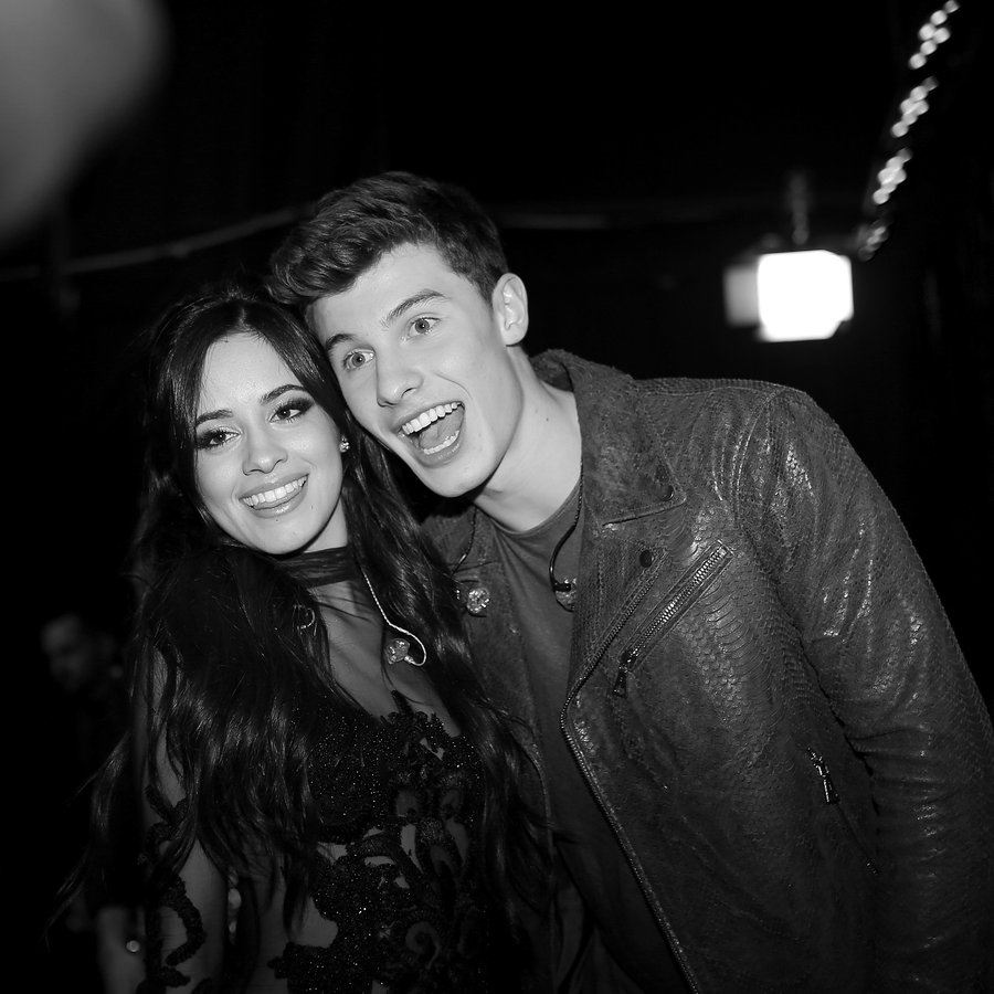 Shawn Mendes and Camila Cabello People's Choice Awards 2016