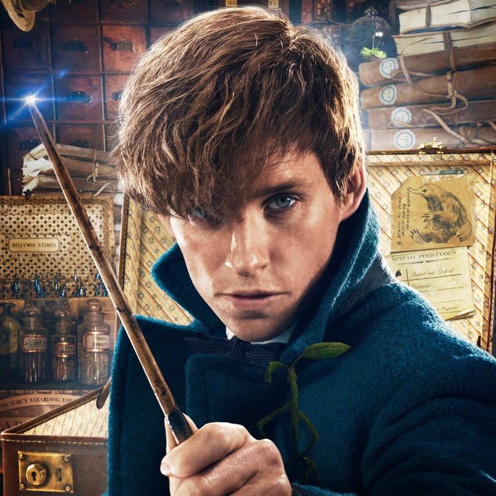 newt scamander