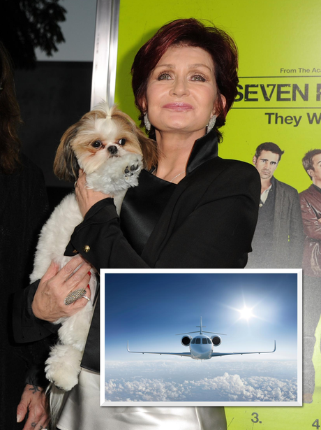 Sharon Osbourne's Private Jet For Dog