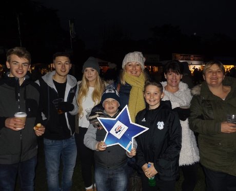 Caldicot Fireworks